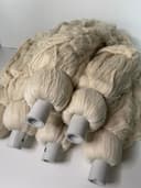 Lampazo blanco 700 gramos