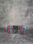 Broches de plástico